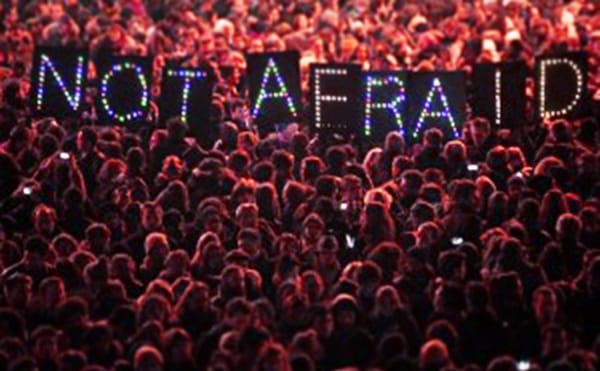 Curatorial Activism and the Politics of Shock