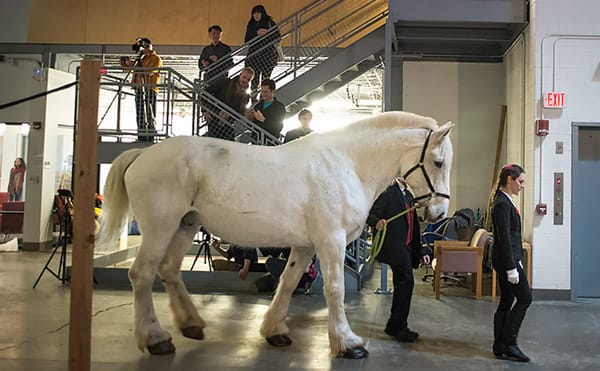 Apply Now for an MFA at Stamps School of Art & Design