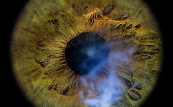 An Exhibition About Blindness Engages All the Senses