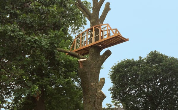 Chicago’s Plan for Sick Trees: Turn Them into Art