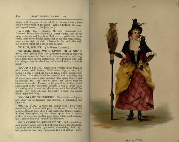 Costume for "the Witch" from Fancy dresses described : or, What to wear at fancy balls (1887) (via Internet Archive)