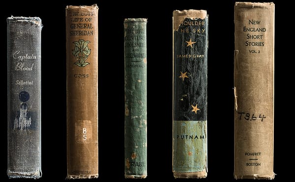 Loved to Death: A Photographer's Tribute to Discarded Library Books