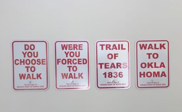 A Retrospective of Edgar Heap of Birds Rises High