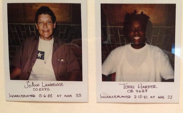 Ambitions and Limitations of Civic Engagement in the Museum