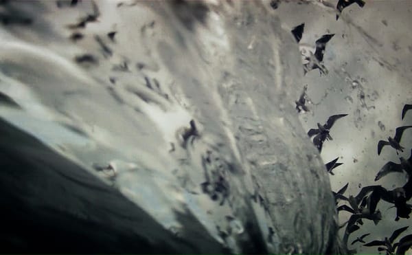 Stan Brakhage Defines His Filmmaking Practice with Metaphors