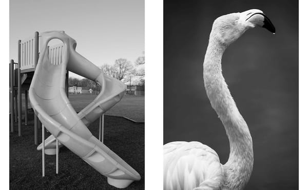 Photobooks Designed to Treat Dementia Gently Challenge the Mind