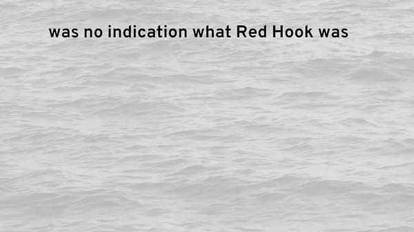 Using AI to Pull Memories from Red Hook’s Waters