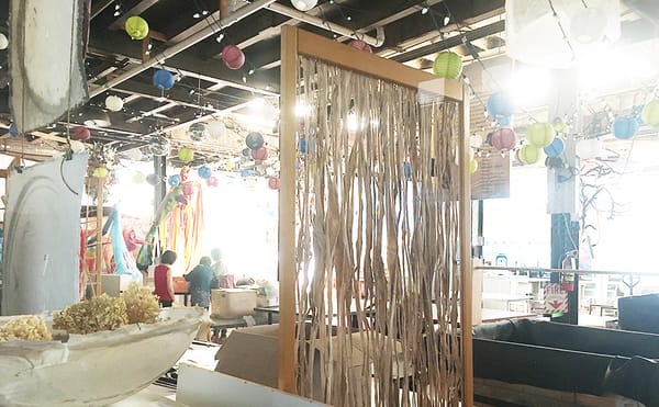 From Plant to Page, a Conservatory Grows Trees to Turn into Handmade Paper