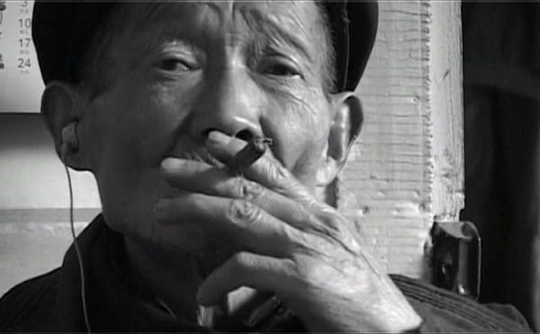 Still from "Sanlidong 三里洞" (2006) (courtesy Lin Xin 林鑫)