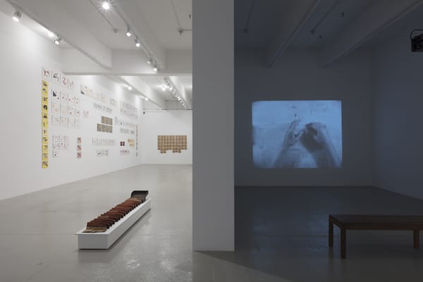 A Romanian Artist Tackles Art and Freedom in Authoritarian Times