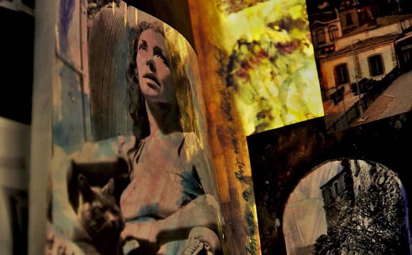 A Poetic Documentary on Carolee Schneemann