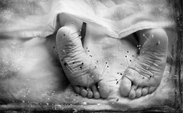 Design Your Own Curriculum in Lesley University’s MFA in Photography and Integrated Media Program