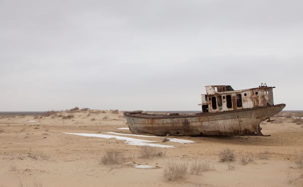 Ruination and Rumination on the Anthropocene