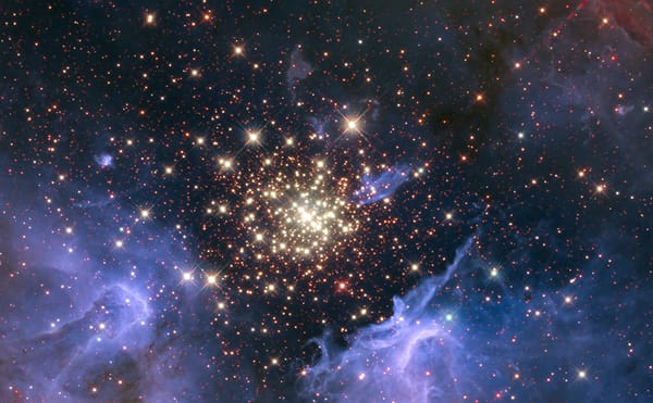 Stars Align for Charles White and Leonardo da Vinci at the Museum of Modern Art