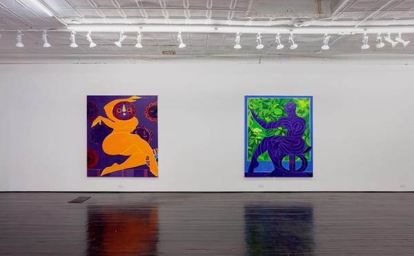 When Beauty Is a Draw and a Diversion