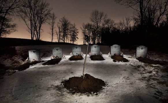 Artists Create a Cemetery for the Things Donald Trump Killed in 2017