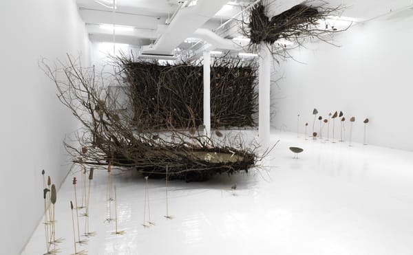 Finding Birds Among the Ruins of an Historical Archive