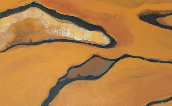 One Poem by Brandon Shimoda