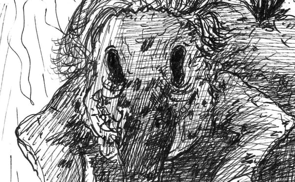 Feeding King Narcissus