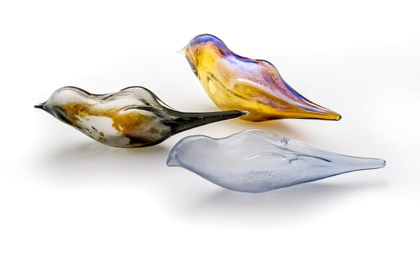 Glass Birds Perched in a Berlin Museum as a Metaphor for Migration