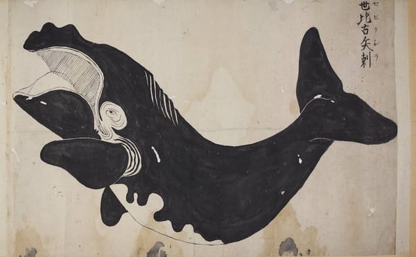 In Edo Japan, Artists Captured Whales Like Never Before