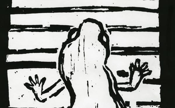 An Illustrated Collection of Animal Inventories