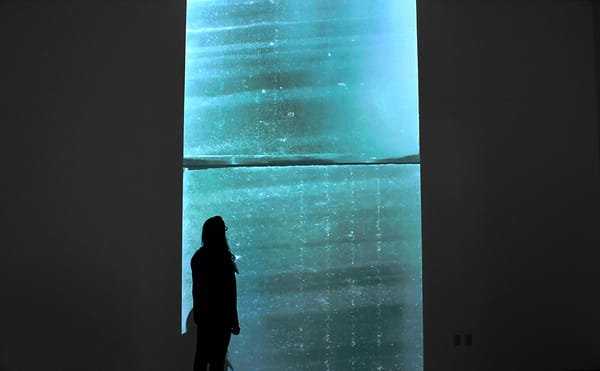 The Climate Museum Captures the Gravity of a Global Crisis