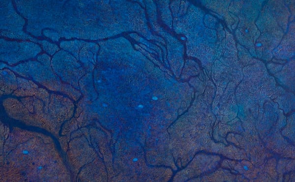 Luisa Rabbia’s Tiny Marks and Big Mysteries