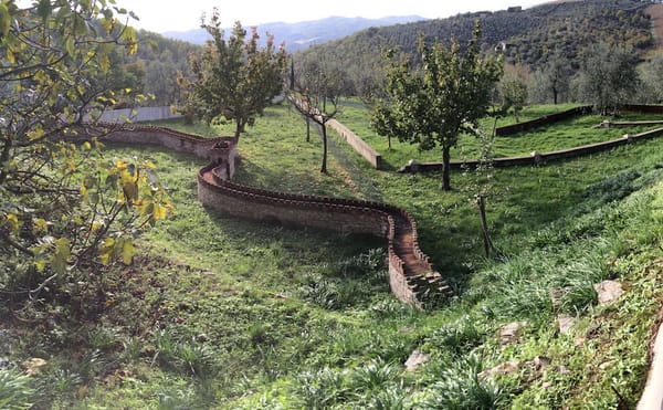 Carlos Garaicoa’s “Yo no quire ver mas a mis vecinos” ("I do not want to see my neighbors anymore," 2006) and the landscape a