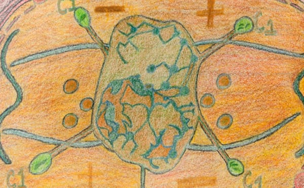 Melvin Way Holds the Keys to the Universe