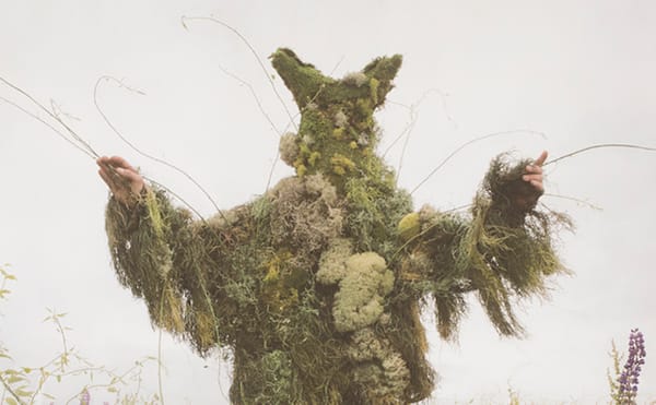 Big Botany Explores Humanity’s Sometimes Dysfunctional Relationship with the Plant World