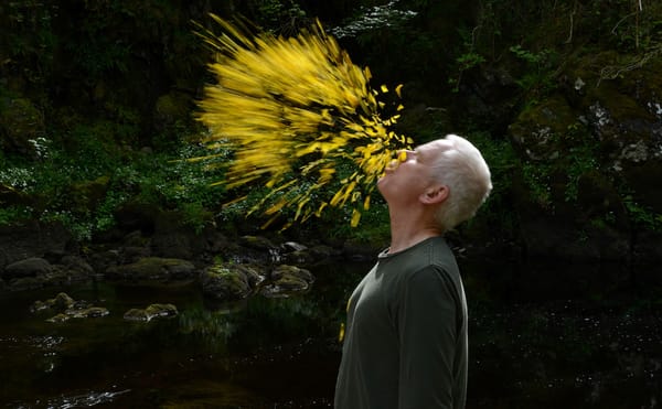 Andy Goldsworthy in Leaning into the Wind, a Magnolia Pictures release (photo courtesy of Magnolia Pictures; © Thomas Riedels
