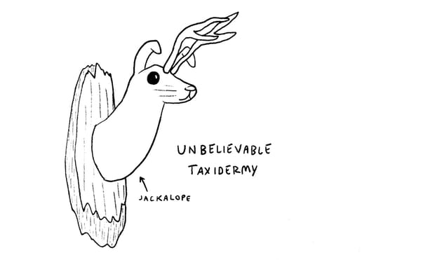 A Hop Through Los Angeles's Bunny Museum