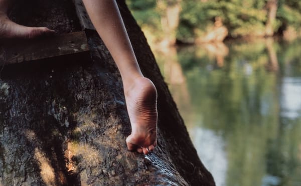 Family, Landscape, and Race in Sally Mann’s Photographs