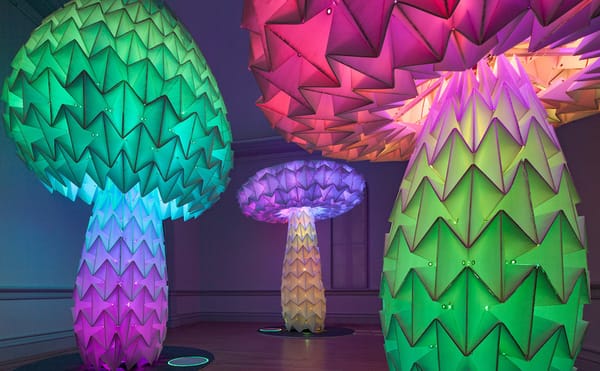 Burning Man Goes to Washington