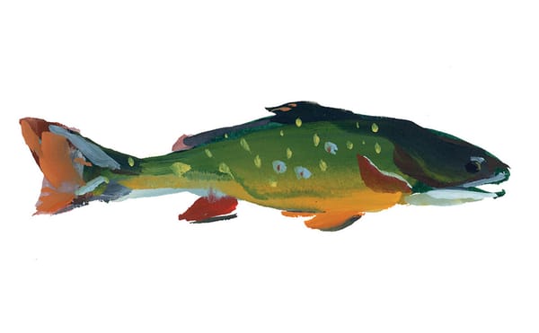 Artist Cannot Wait to Get Out of the Studio and Shiver