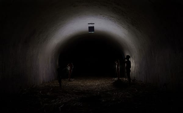 Tania Bruguera’s Once-Censored Installation Measures the Distance Between Words and Things