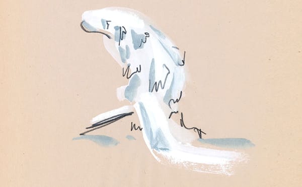 If a Tree Slouches in a Forest …