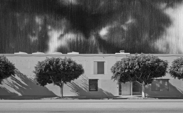 Announcing the Acid-Free Los Angeles Art Book Market