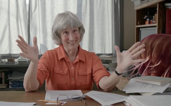 A scene from Donna Haraway: Story Telling for Earthly Survival (2016)