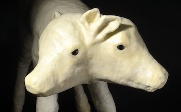 Provocative Art about Blood and Masks