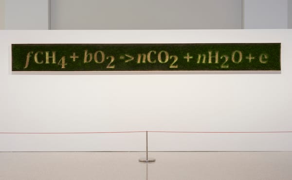 Unearthing Centuries of Interdependence Between Humans and Plants