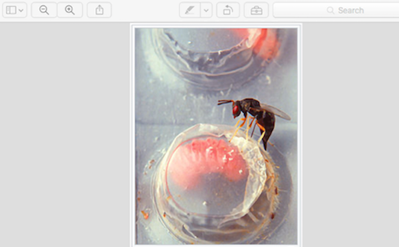 Two Poems by Alyssa Moore