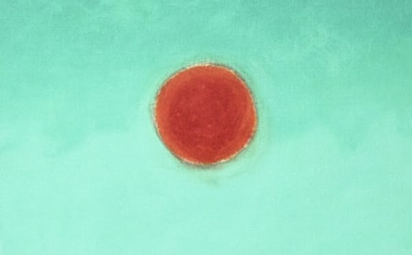 A Painter's Extraterrestrial Journey Through the Light of Day