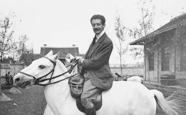 A Philosopher's Journey to the Real