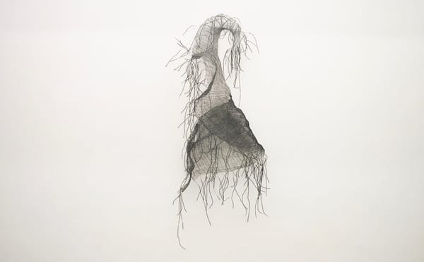 An Artist Entangles Performance, Process, and Wire Sculpture