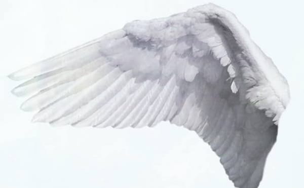 A Poet's Minecraft Romanticism