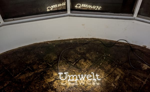 Tilling the Scars of Turtle Island and Its History