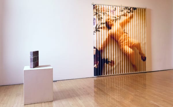 Cornell University Department of Art Presents Big Snack, 2018 MFA Exhibition at Signal