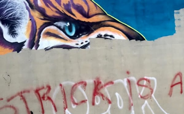 Artists Sue City of Memphis for Painting Over Sanctioned Murals